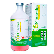 6 Minerales Vitaminados