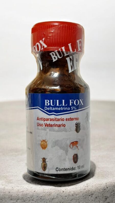 Bull Fox
