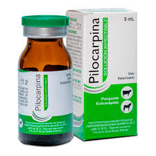 Pilocarpina